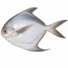 Pomfret