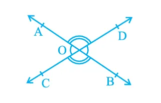 Vertically opposite angles are equal