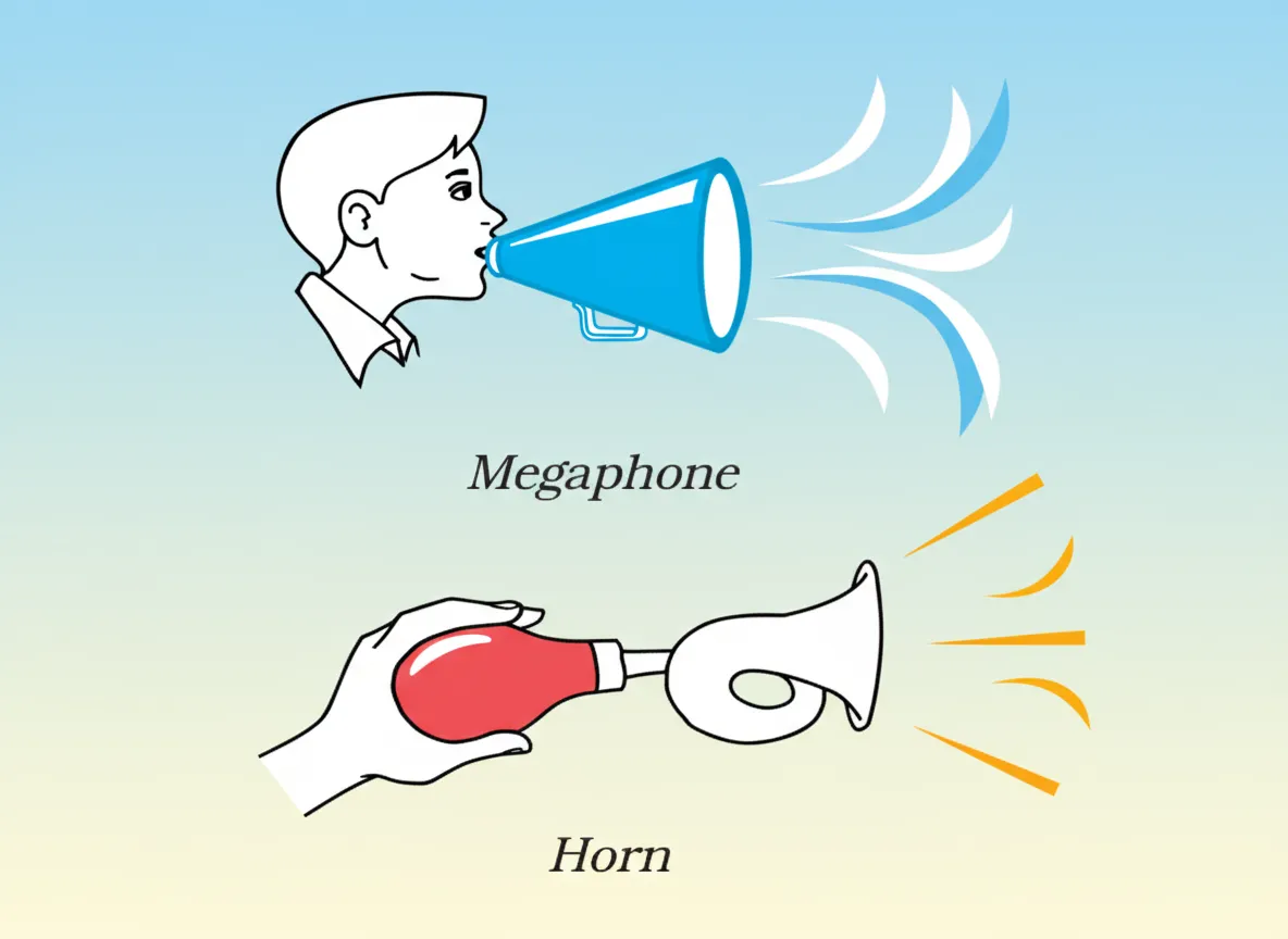 Mega Phone & Horn